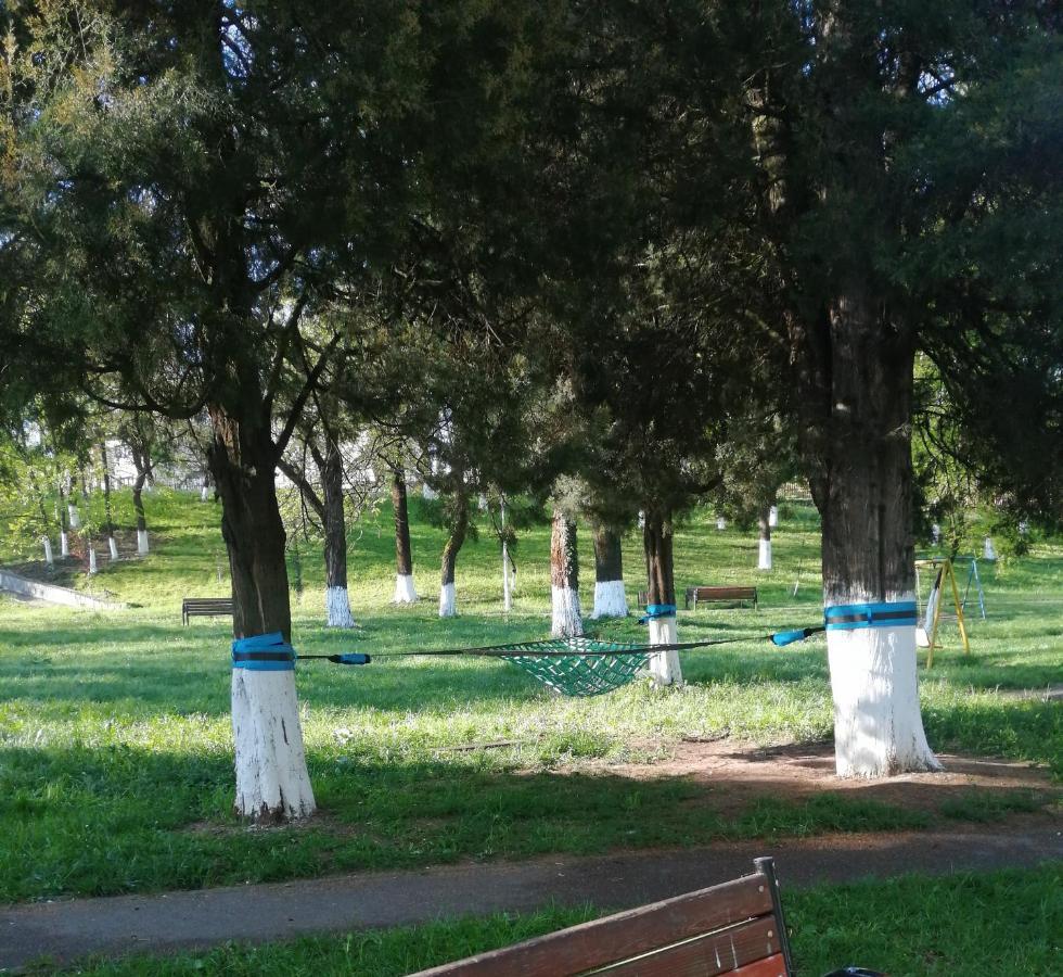 Appartamento Amigohd Hunedoara Esterno foto